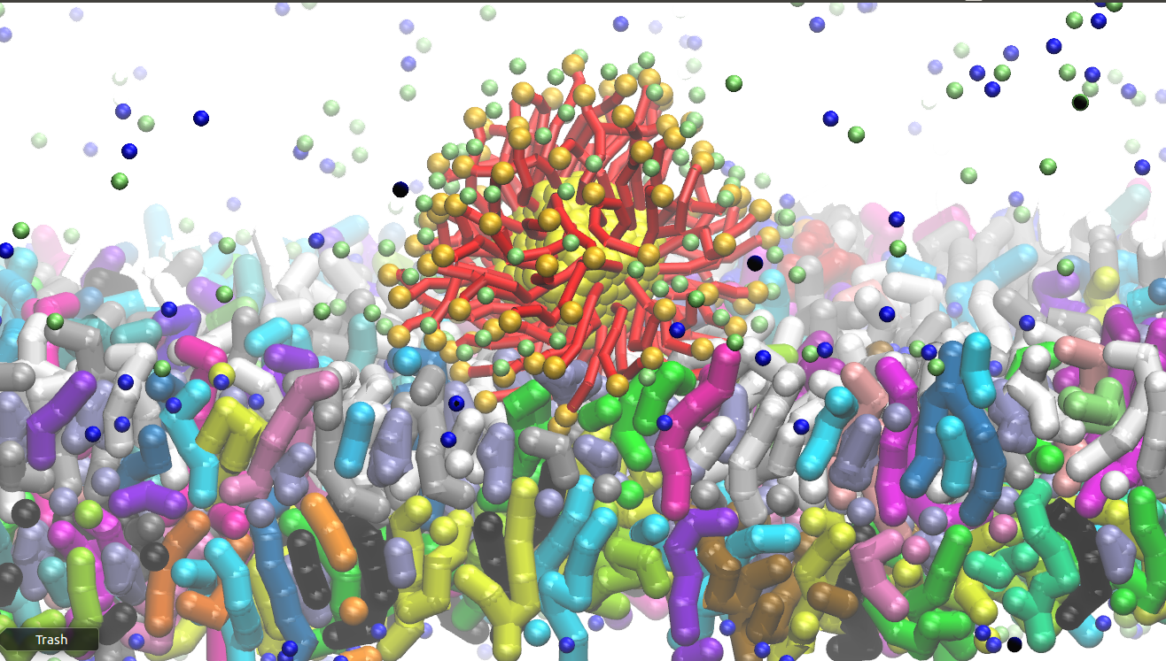Molecular Dynamics Dr. Nejat Personal Site
