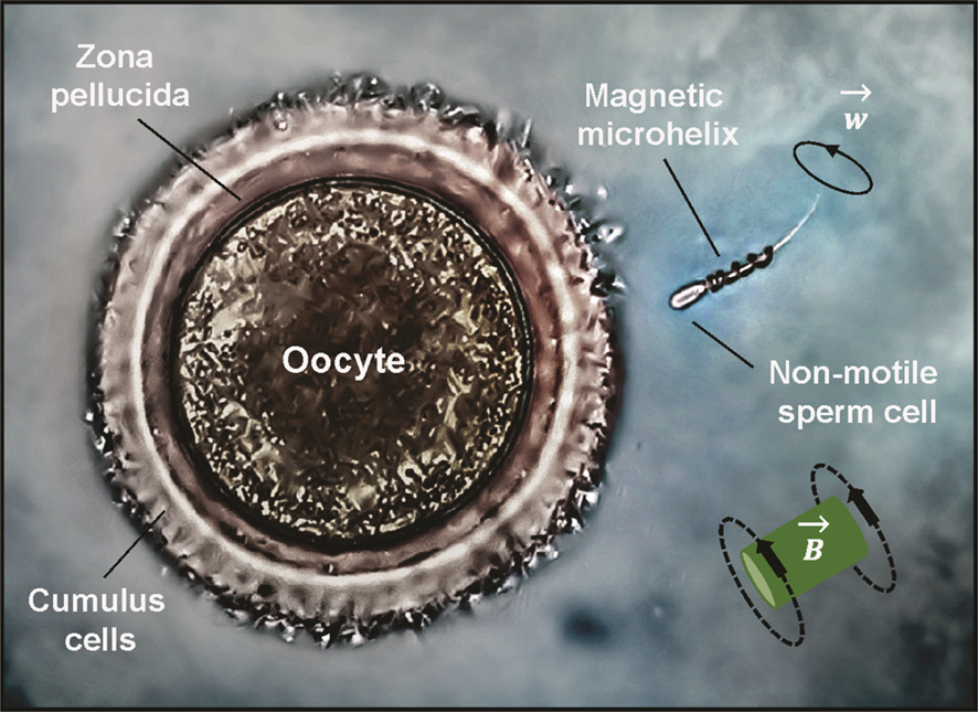 nanocoil